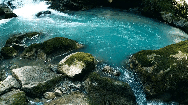 Funeral Poem – By Herself & All Her Friends – By Joyce Grenfell