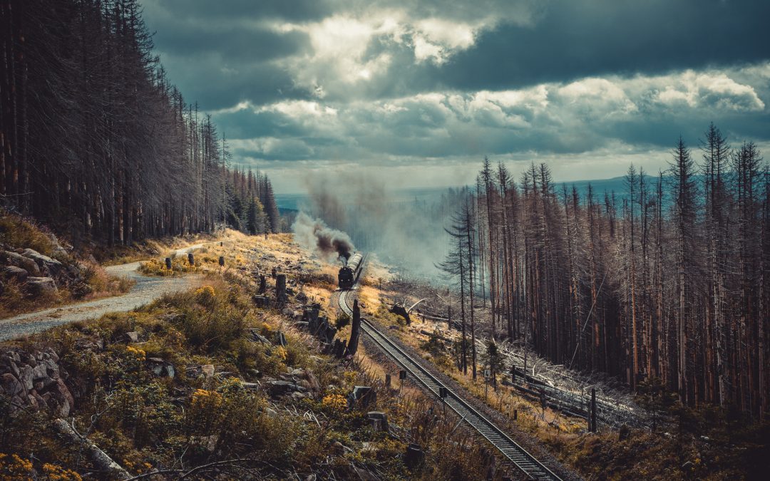 Last Journey – Funeral Poem by Timothy Coote